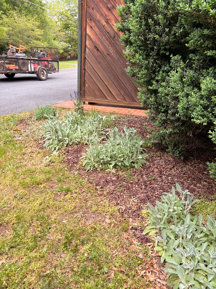 All Photos for Valencia’s Lawncare in Charlottesville, VA