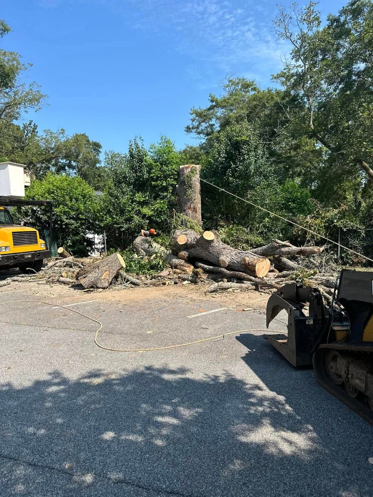 Tree Removal for ArborMax in Thomaston, GA