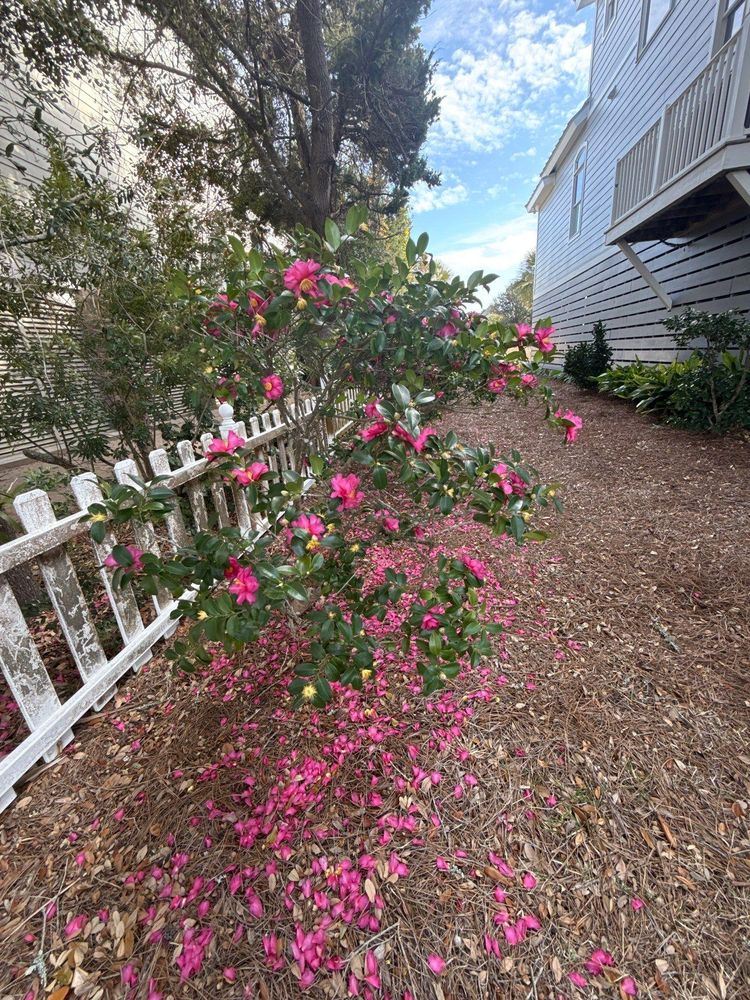 All Photos for Pawleys Island Concierge LLC in Pawleys Island, SC