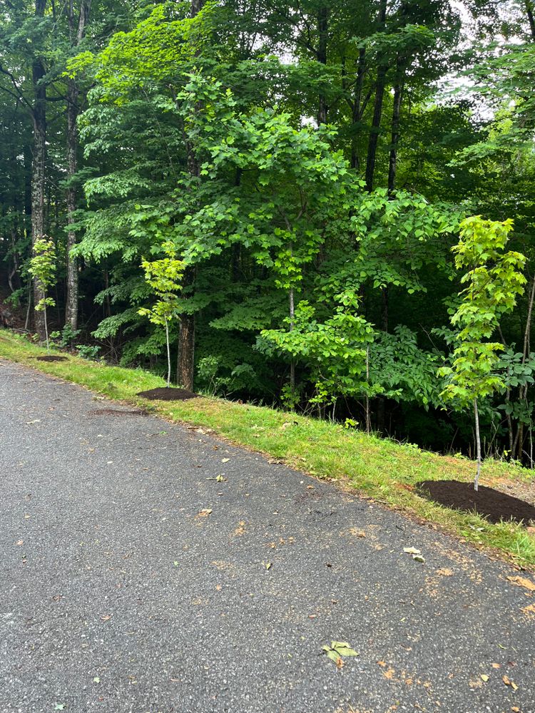 All Photos for Taylors Enterprises in Johnson City, TN