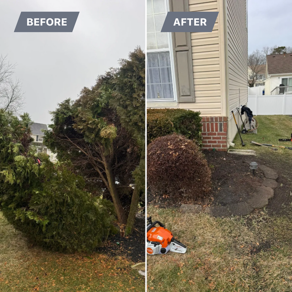 All Photos for Joe’s Landscape And Design LLC in Egg Harbor Township, NJ