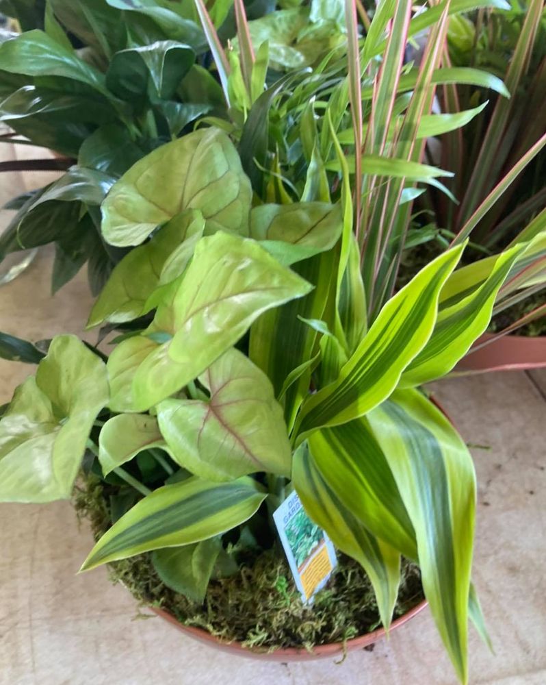 All Photos for S&R Landscaping and Nursery in Charlotte, NC