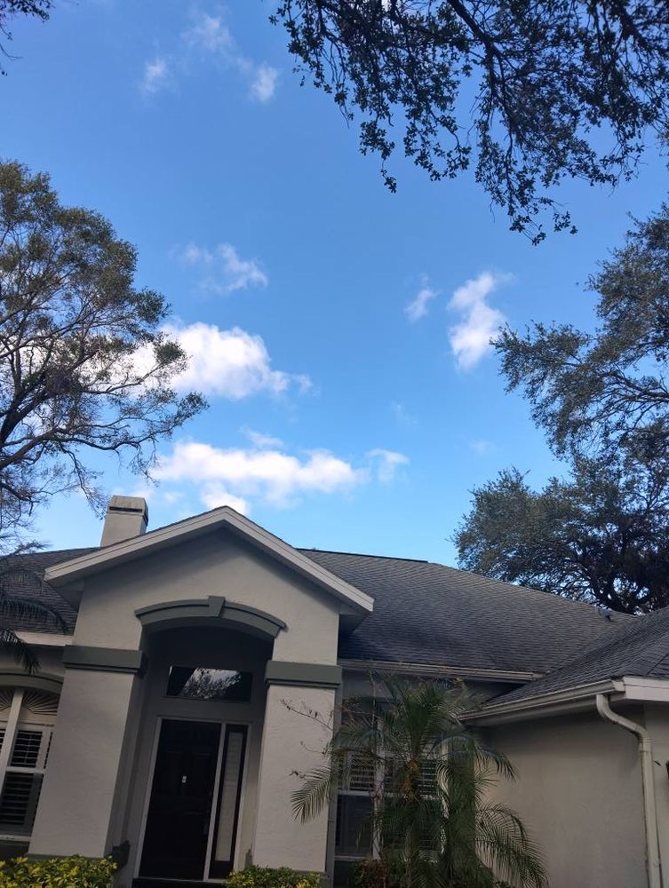 Tree Removal for Bills Tree Service in Valrico, FL