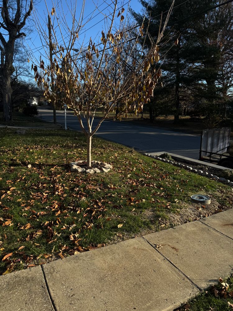 All Photos for Nicholson Lawn Care in Jeffersonville, IN