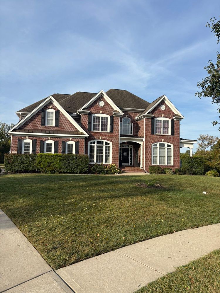 All Photos for Dig-It Tree Company in , 