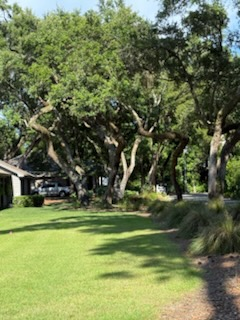 All Photos for Professional Landscape & Irrigation in Pensacola, FL