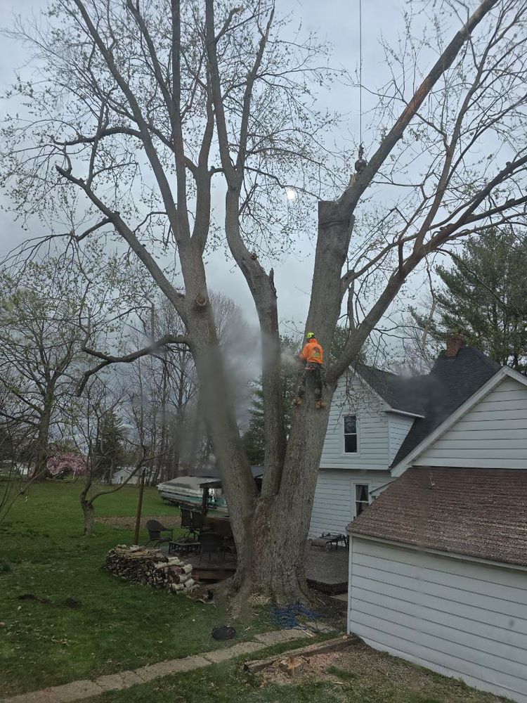 All Photos for Advanced Tree Solutions in Rockville, IN