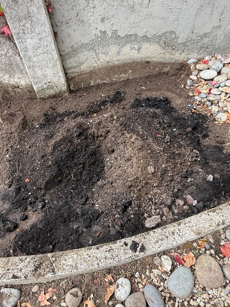 All Photos for CBA Landscaping in Hayward, CA