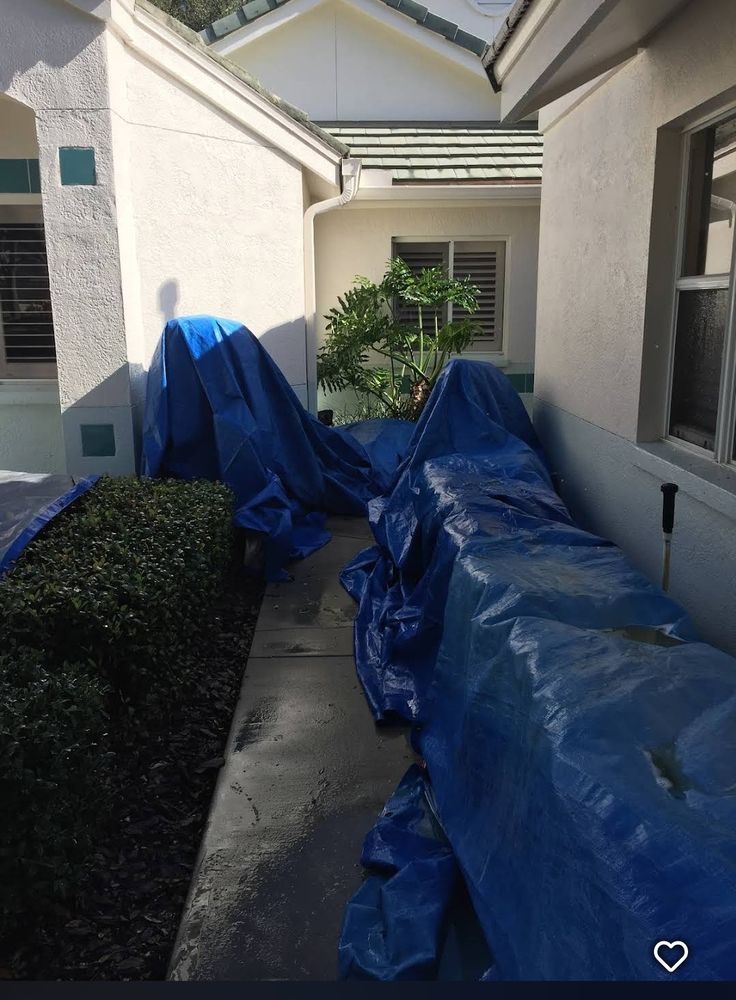 All Photos for Blue Stream Roof Cleaning & Pressure Washing in Tampa, FL