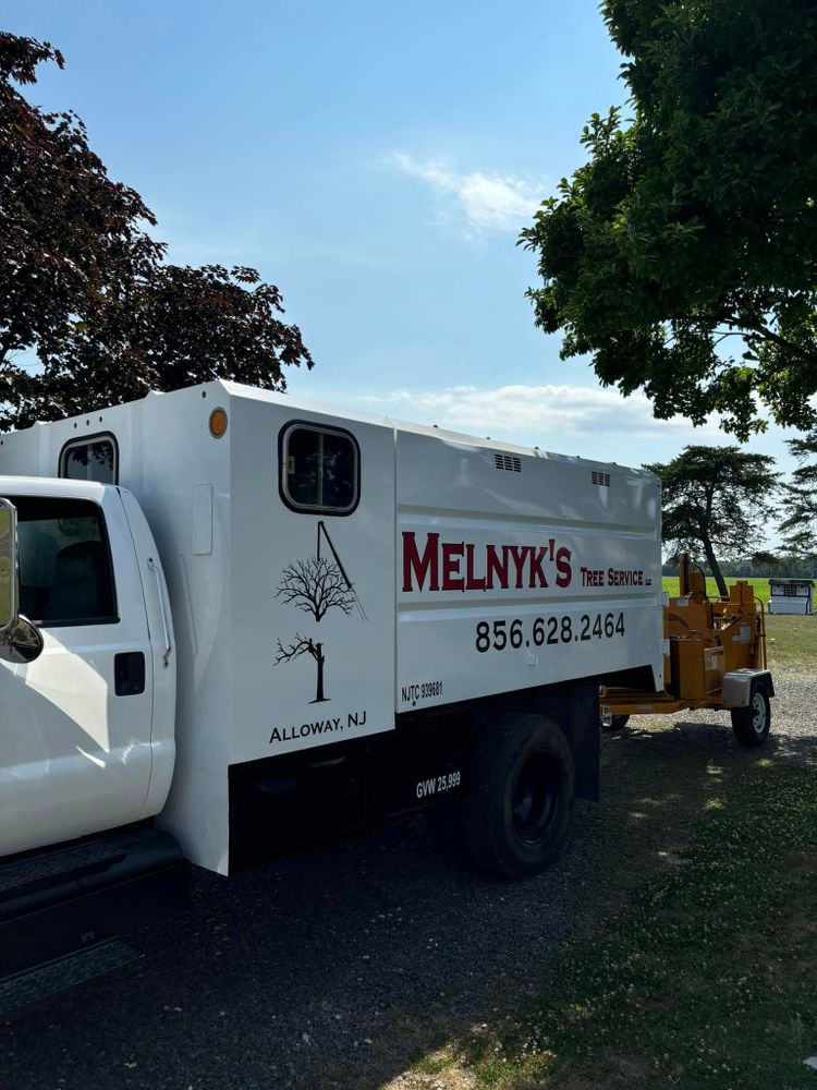 Tree Removal for Melnyk’s Tree Service in Salem County, NJ