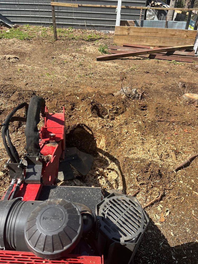 All Photos for Otis Lee Stump Grinding LLC in Elgin, SC