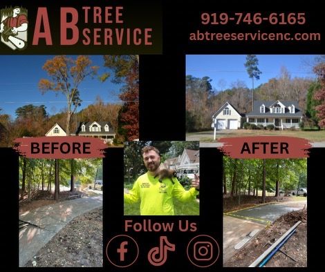 All Photos for AB Tree Service in Raleigh, NC