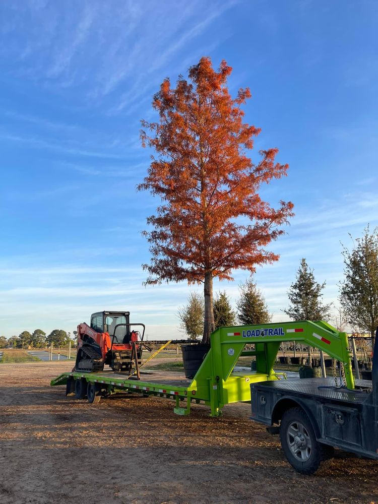 All Photos for Braun Tree Service  in Floresville, Texas