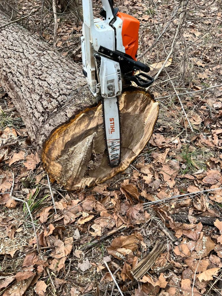 Our Logging service safely removes unwanted or hazardous trees from your property, ensuring a clean and accessible landscape while preserving the health of surrounding vegetation and enhancing property value. for Kadin’s Tree Service in North Vernon, IN