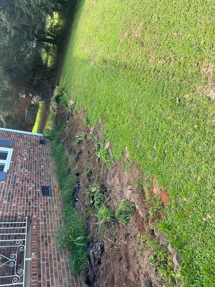 Shrub Removal  for Rescue Grading & Landscaping in Marietta, SC