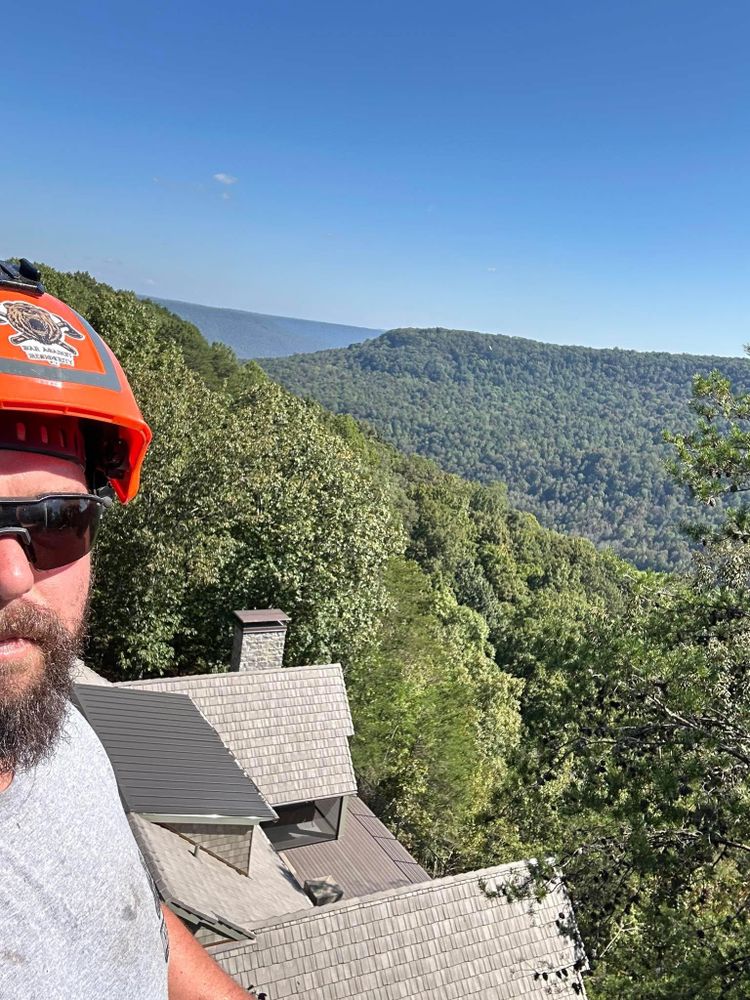 All Photos for McBee’s Tree Service in Sewanee, TN
