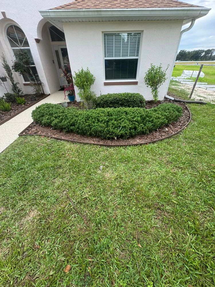  for Young's Lawn Services LLC in Ocala, FL