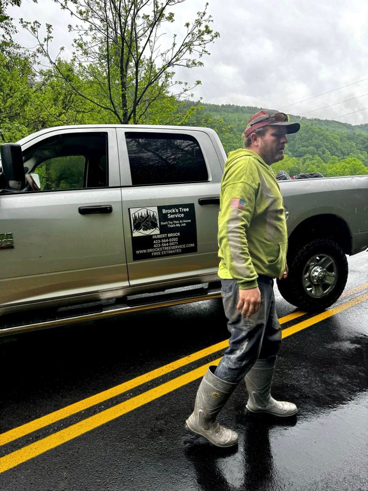Tree Removal for Brocks Tree Service LLC in Rogersville, TN