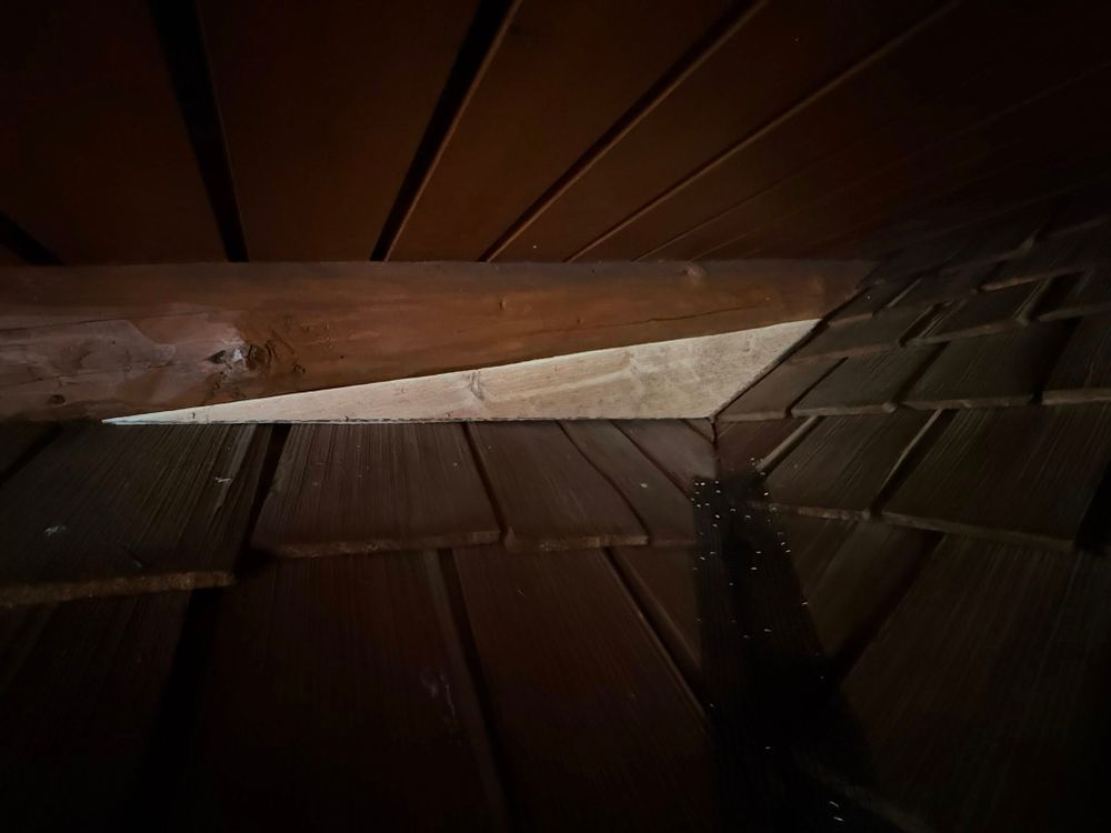 All Photos for Wild West Log home specialists in Corvallis, MT