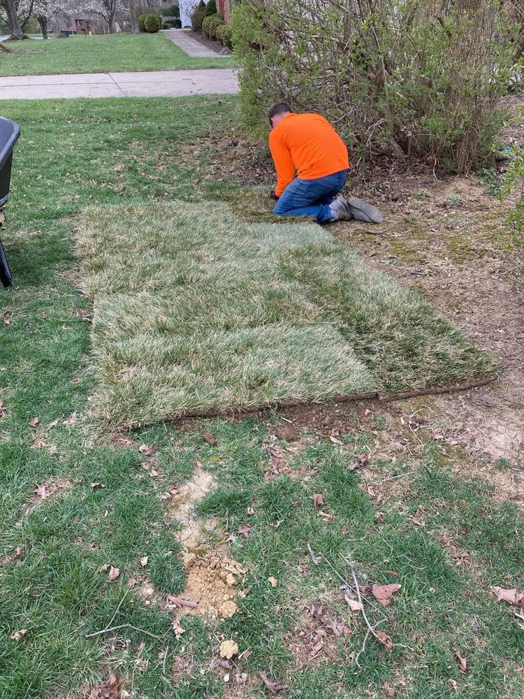 All Photos for My Lawn Solutions LLC in Milford, OH