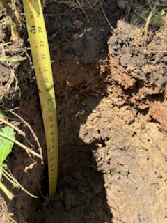 All Photos for G.Turf Service in Cross Roads, TX