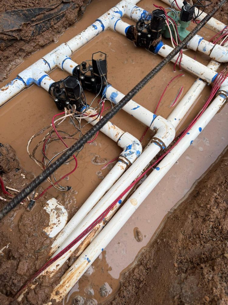 All Photos for Texas Curb N Borders in Houston, TX