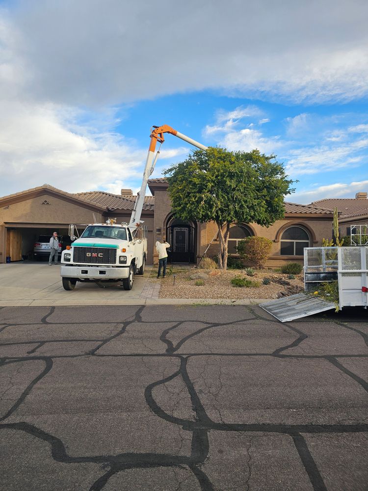 All Photos for T's Tree Service and Firewood in Apache Junction, AZ