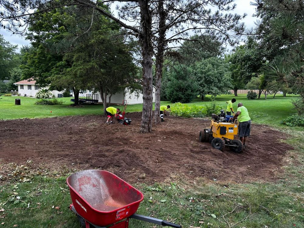 Tree Removal for Greenlee & Family Landscaping Services in Peoria, IL