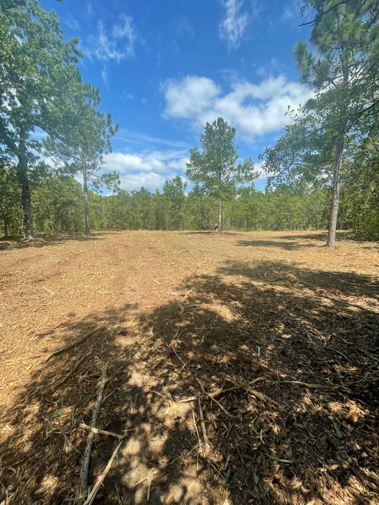 Our Forestry Mulching service efficiently clears unwanted vegetation, preserving desirable trees while preventing erosion. It transforms overgrown areas into usable land quickly and sustainably, enhancing your property's aesthetic and ecological value. for JA Clearing LLC in Pageland, SC