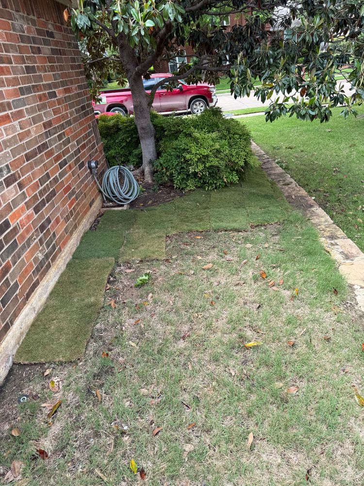 All Photos for Light It Up AV & Turf in Westlake, TX