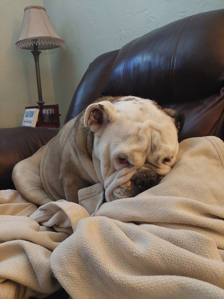 All Photos for Airstrike Air Conditioning in Ormond Beach, FL