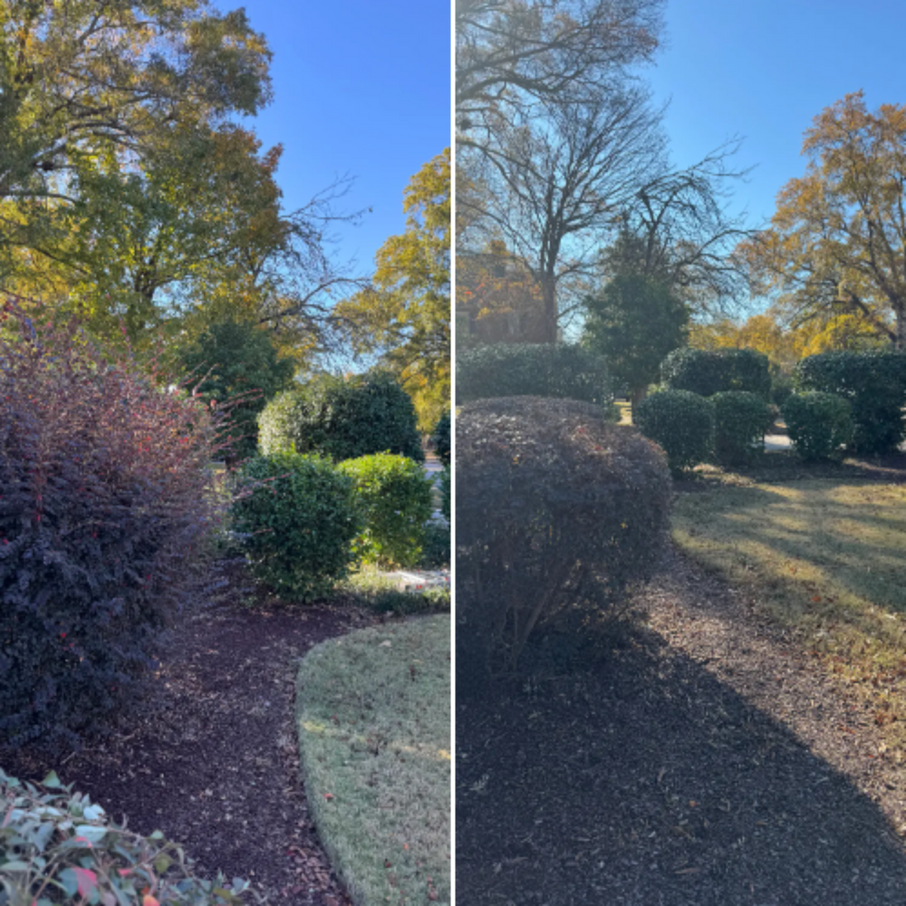 Mowing for Paul's Lawn Care and Pressure Washing in Wilson, NC