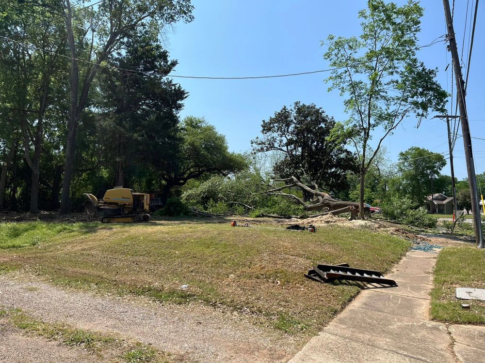 All Photos for JC Land and Tree Service in Kilgore, TX