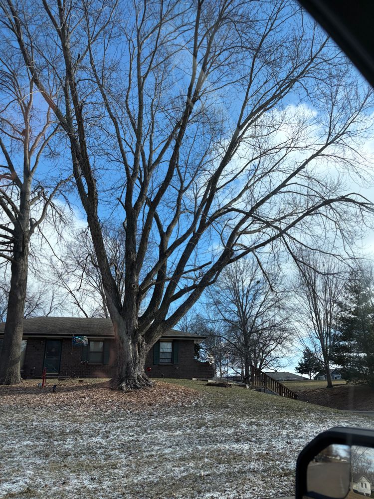 All Photos for Cross Family Tree Service in Kearney, MO