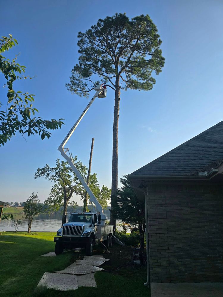 Enhance your property's safety and beauty with our professional Tree Trimming service, expertly shaping and maintaining healthy trees to prevent hazards while boosting curb appeal with precision care. for Paquette's Tree Service in Malvern, AR