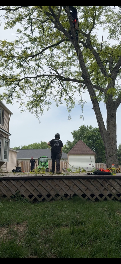 All Photos for Down To Earth Tree Service, LLC in Olmsted Falls, OH