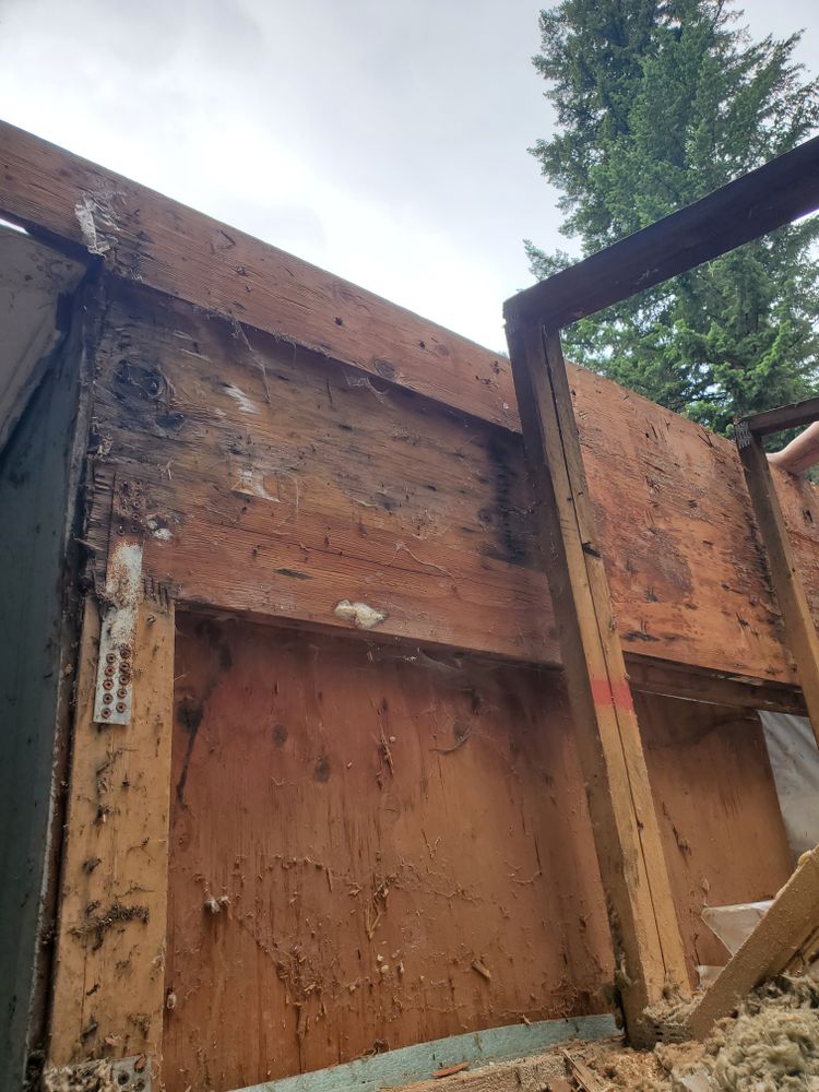 All Photos for Home Pros in Maple Falls, WA