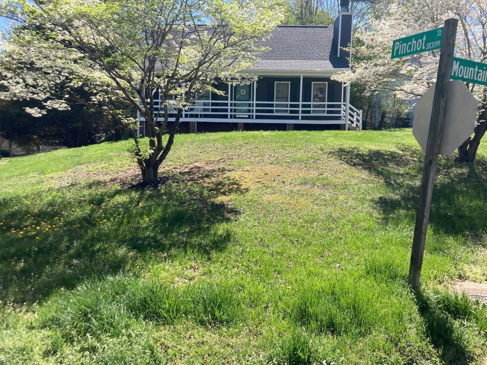 All Photos for Green Horizon Lawncare in North Chesterfield, VA