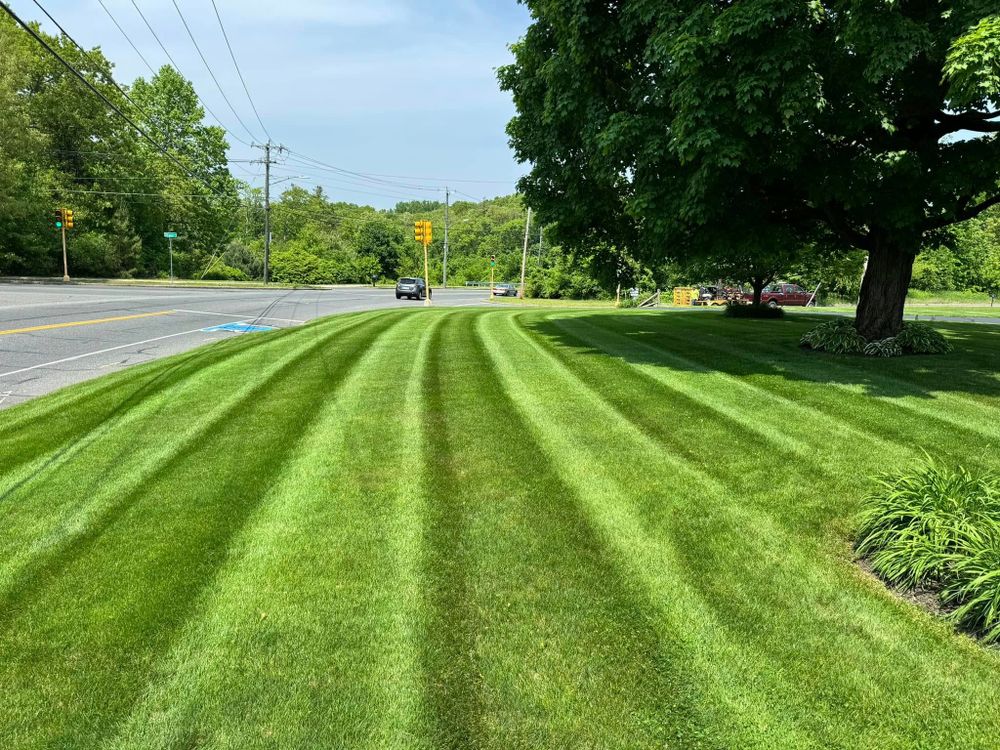 All Photos for Adams Landscaping in Springfield, MA