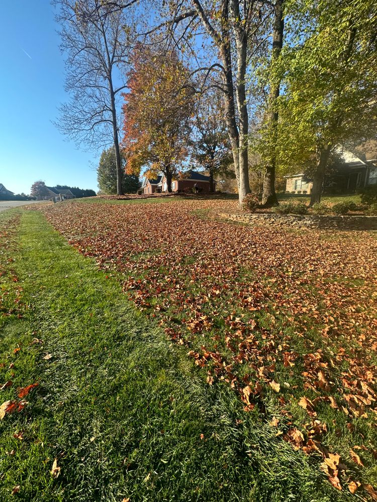 Lawn Service for Kyle's Lawn Care in Kernersville, NC