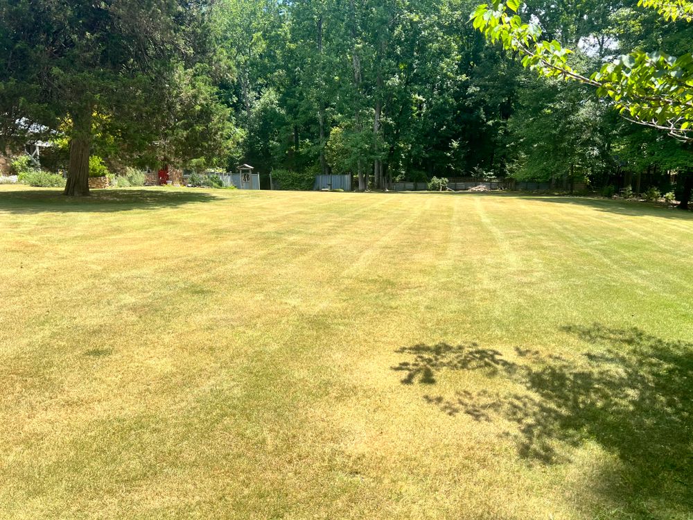 All Photos for JC Lawn Care and Landscaping in Athens, GA