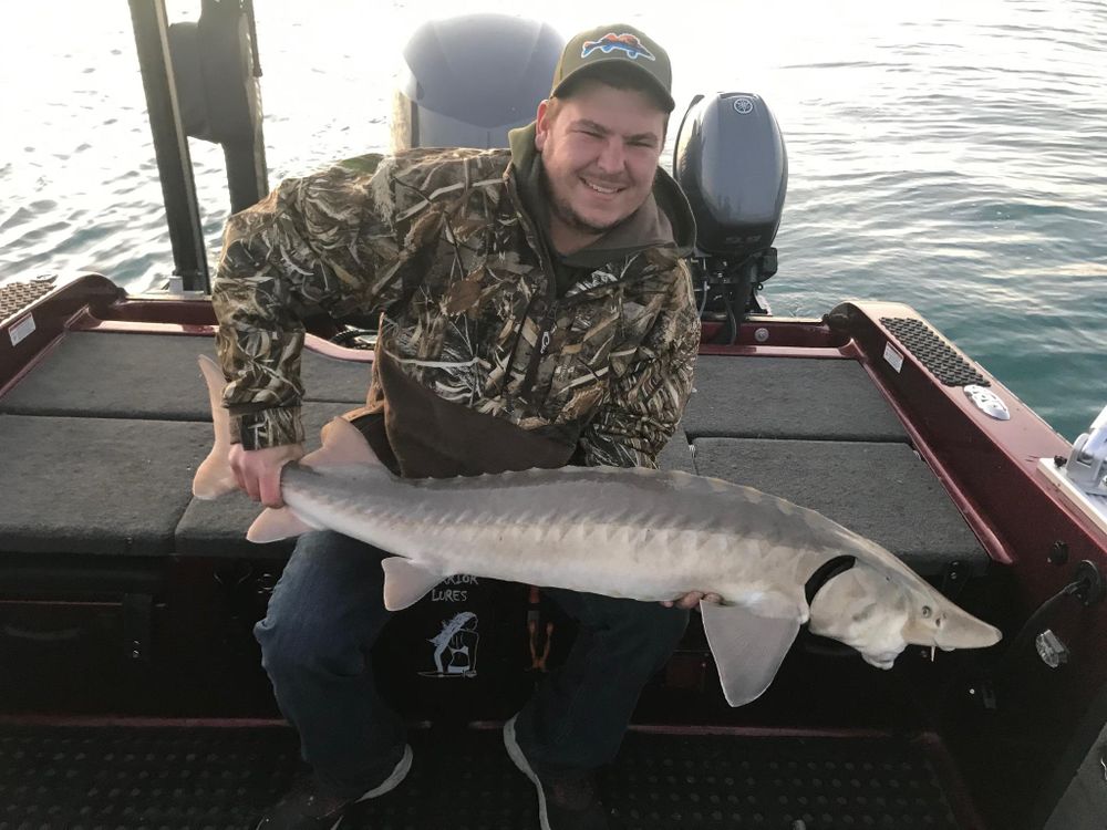 All Photos for Apex Painting in Wayne County, MI