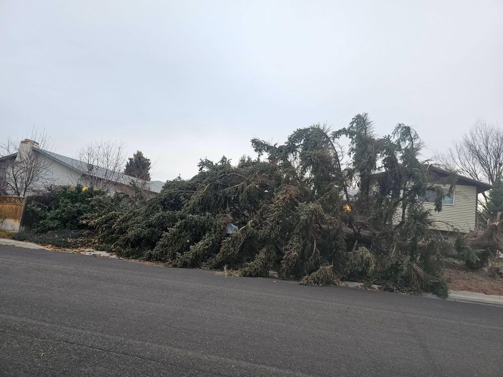 Tree Removal for Portneuf Valley Tree Service in Pocatello, ID