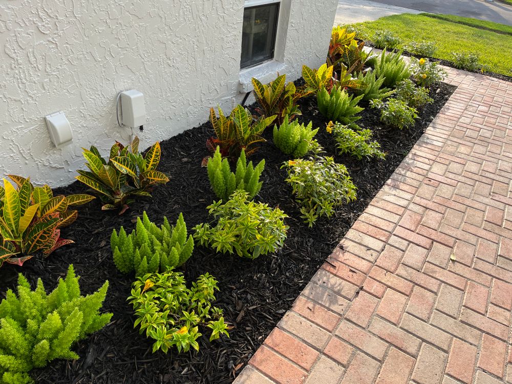 All Photos for Verimay's Garden and Landscaping in Hillsborough County, FL