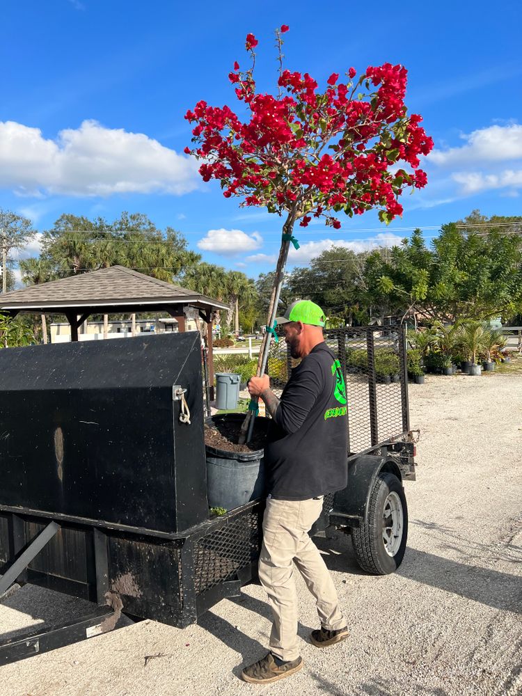 Plant and tree list for Lawn Caring Guys in Cape Coral, FL