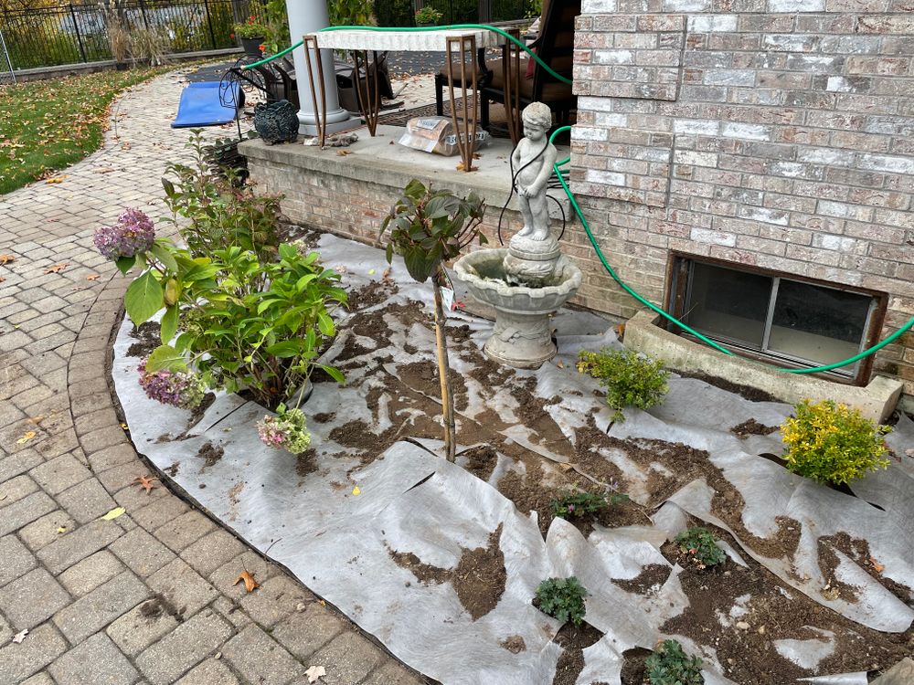 All Photos for Adams Landscaping in Springfield, MA