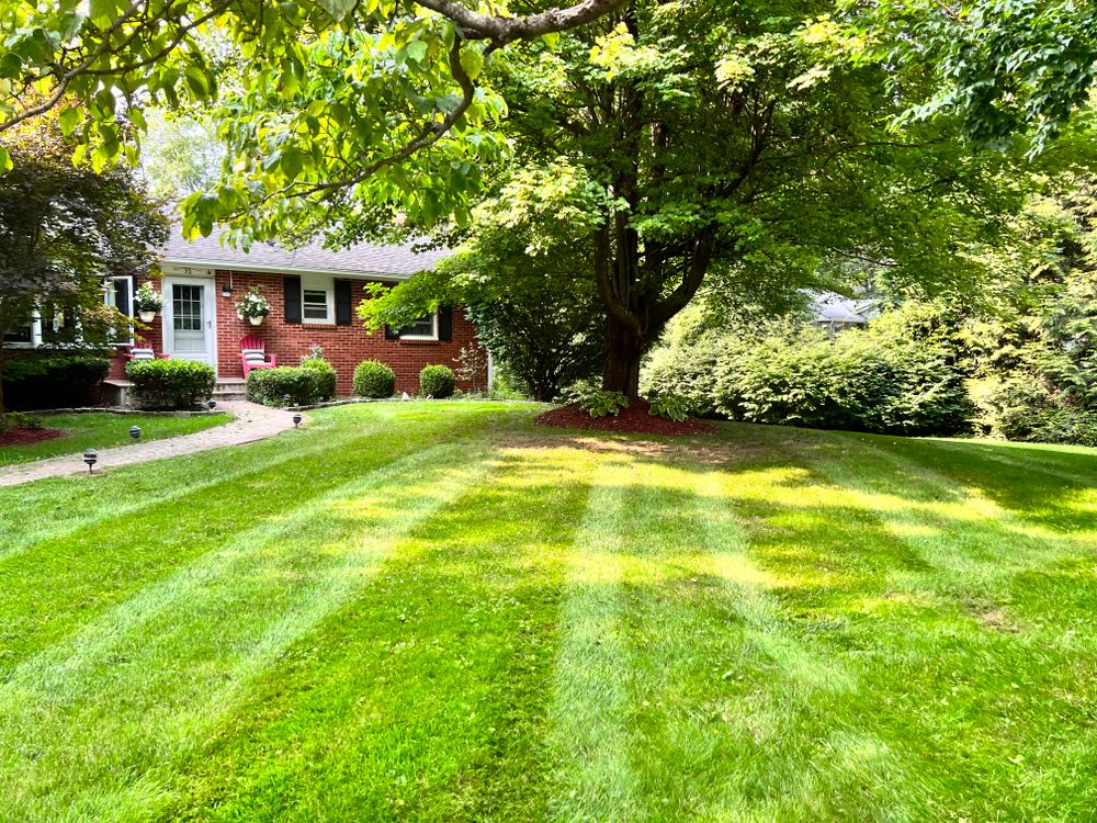 Lawn Care for LJ Lawn & Property Maintenance, Inc. in Cold Spring, New York