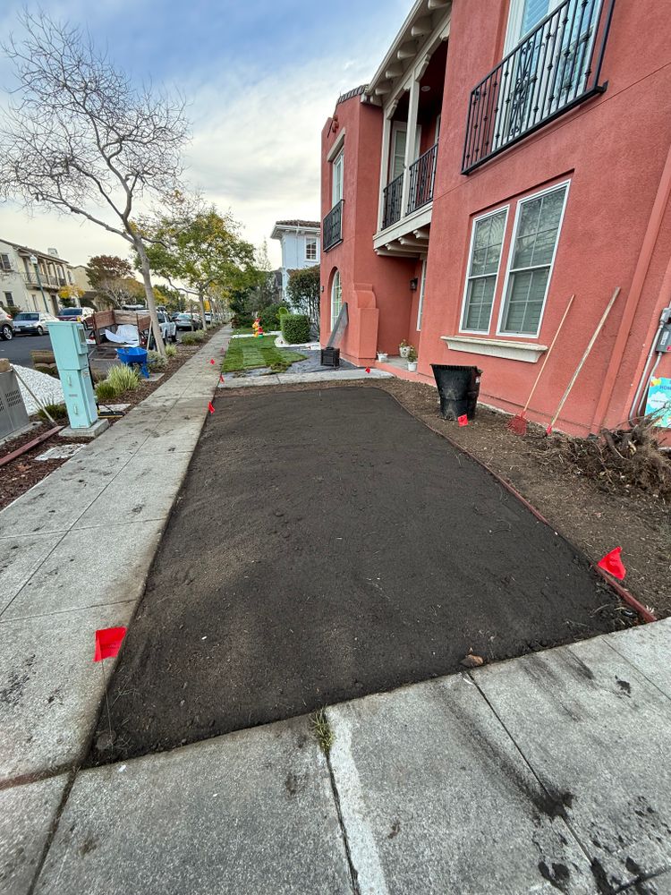 All Photos for CBA Landscaping in Hayward, CA