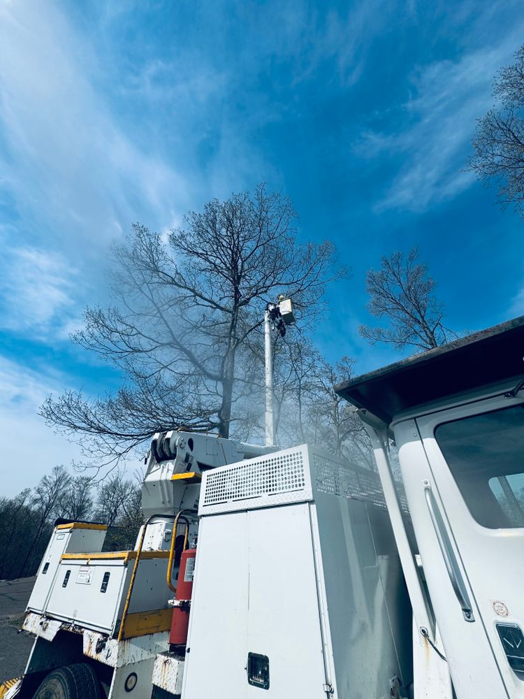 All Photos for Hennessey Tree & Landscape LLC in Oxford,  CT 