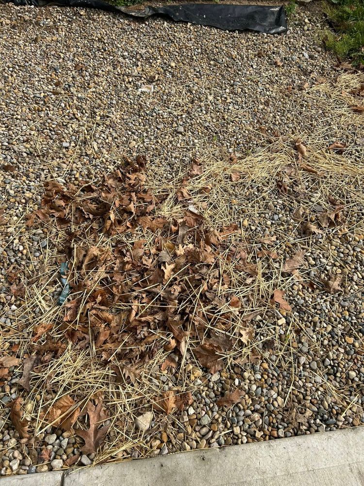 Our Fall Clean Up service ensures your property is pristine for the season. We handle leaf removal, pruning, and debris clearing to prepare your landscape for winter and enhance curb appeal. for Plenty Landscaping Solutions in Indianapolis, IN